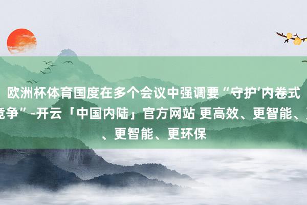 欧洲杯体育国度在多个会议中强调要“守护‘内卷式’恶性竞争”-开云「中国内陆」官方网站 更高效、更智能、更环保