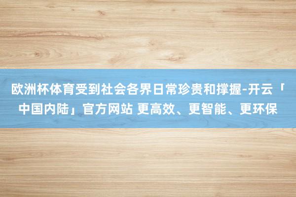 欧洲杯体育受到社会各界日常珍贵和撑握-开云「中国内陆」官方网站 更高效、更智能、更环保