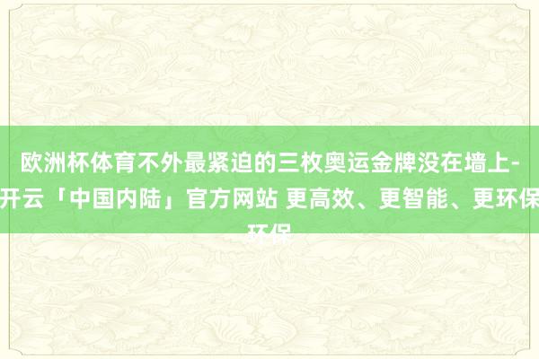 欧洲杯体育不外最紧迫的三枚奥运金牌没在墙上-开云「中国内陆」官方网站 更高效、更智能、更环保