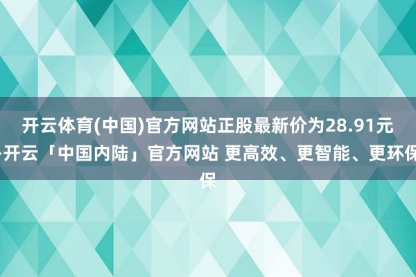 开云体育(中国)官方网站正股最新价为28.91元-开云「中国内陆」官方网站 更高效、更智能、更环保