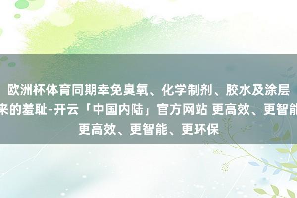 欧洲杯体育同期幸免臭氧、化学制剂、胶水及涂层蒸发物带来的羞耻-开云「中国内陆」官方网站 更高效、更智能、更环保